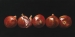 Pomegranits